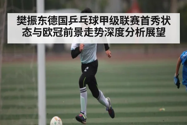 樊振东德国乒乓球甲级联赛首秀状态与欧冠前景走势深度分析展望